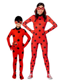 Famille De Coccinelles
