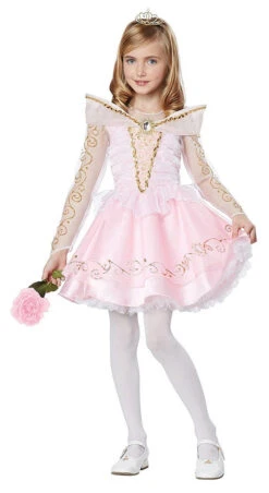 Costume De Belle Au Bois Dormant Pour Fille
