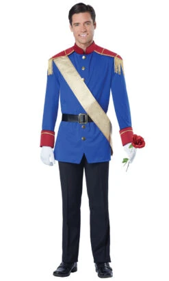 Le Costume Du Prince Charmant