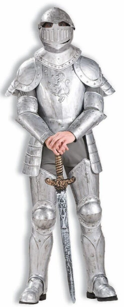 Chevalier En Armure Reluisante
