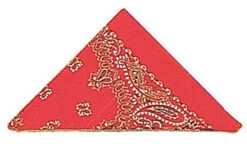 Cowboy's Red Bandana