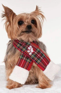 Costume Écharpe De Noël Pour Animal