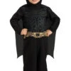 Costume De Batman Le Chevalier Noir Pour Tout Petit