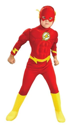 Le Costume De Flash