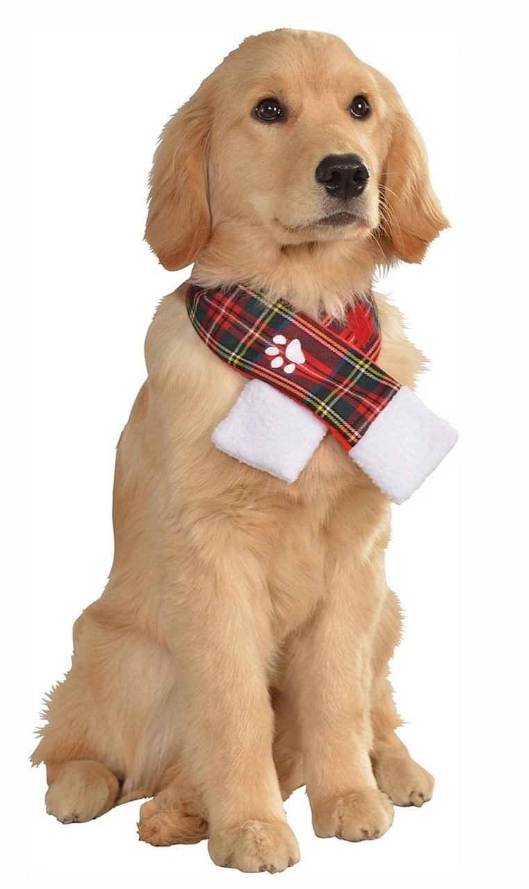 Écharpe De Noël En Plaid Pour Animaux