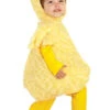 Costume De Canard En Peluche