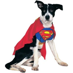 Costume Pour Animaux De Superman