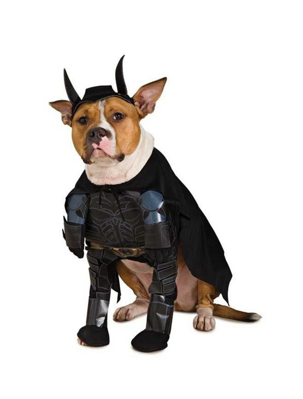 Costume Pour Animaux De Batman