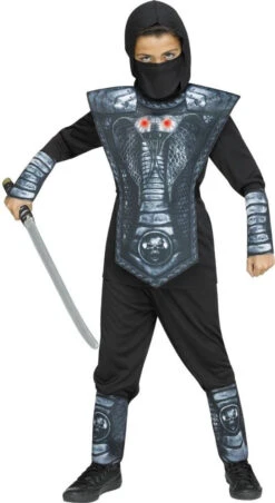 Le Costume De Ninja Cobra Argenté Pour Garçons