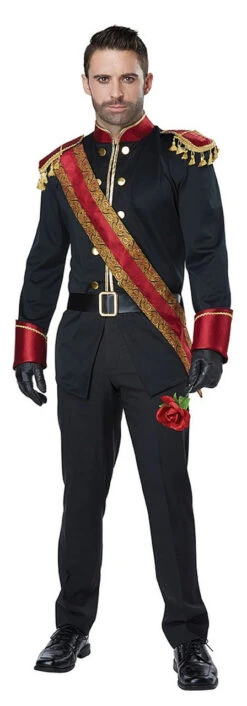 Costume De Prince Charmant Sombre