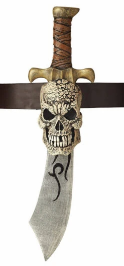 Épée De Pirate Avec Etui Crâne