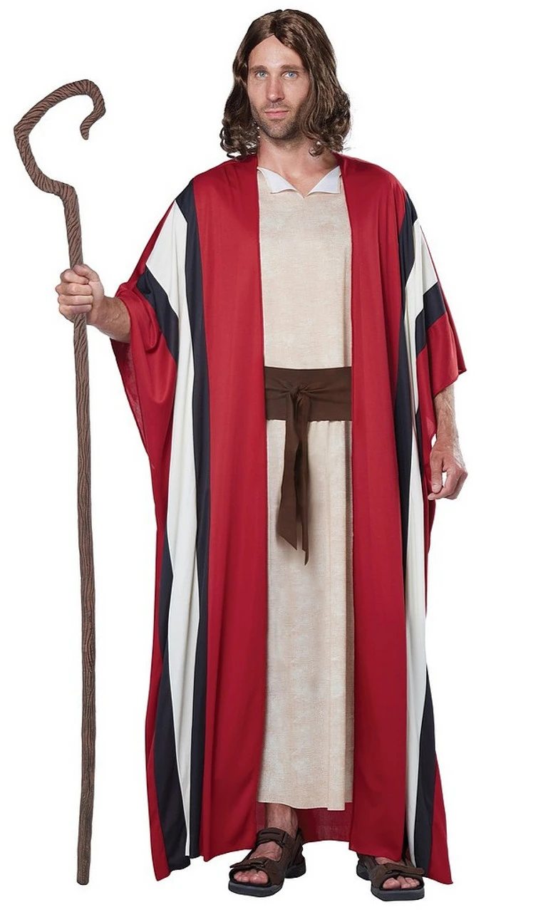 Bâton De Berger – Image 2