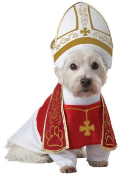 Costume De Pape Sacré Chien