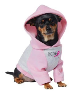 Costume De L'Animal Blond Am-Bition