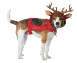Reindeer Pet Costume