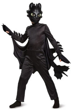 Costume De Krokmou Dragons Pour Enfants