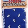 Bandana Bleu