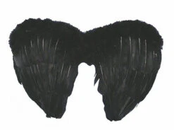 Ailes De Plumes Noires Deluxe 14 Pouces