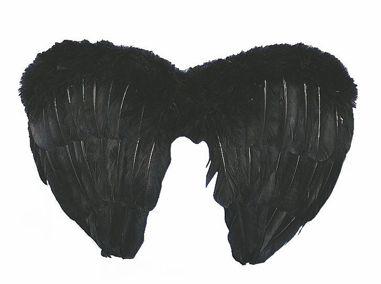 Ailes De Plumes Noires Deluxe 14 Pouces