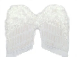 Ailes De Plumes Blanches 24 Pouces