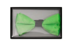 Noeud Papillon Vert Lime