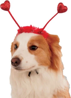 Bandeau Boules De Coeur Rouges Pour Chiens