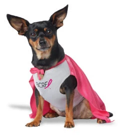 Costume Du Hero Pour La Recherche Contre Le Cancer Du Sein Pour Chien