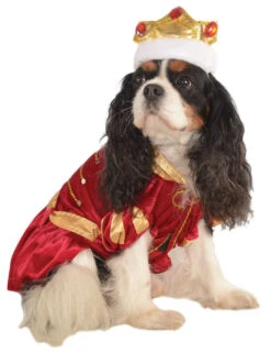 Costume Roi Kanine Pour Chiens