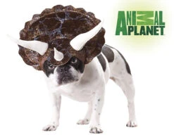 Costume De Dinosaure Triceratops Pour Chien