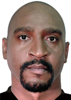 Bonnet Chauve Foncé